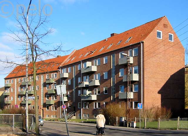 Skellet 5-11