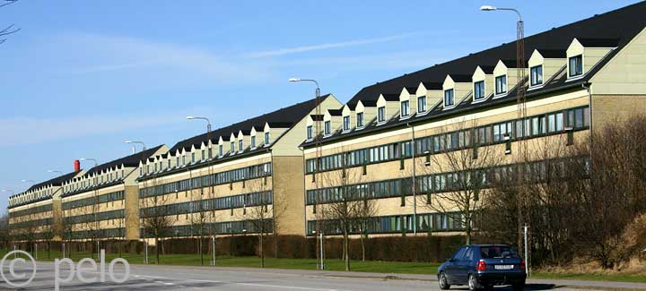 taglejligheder